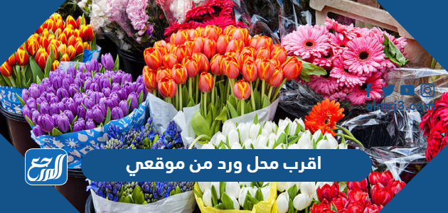 اقرب محل ورد من موقعي