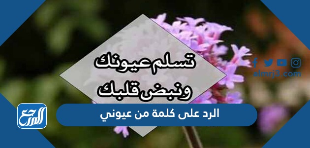 الرد على كلمة من عيوني