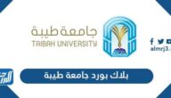 رابط بلاك بورد جامعة طيبة تسجيل الدخول taibah blackboard