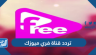 تردد قناة فري ميوزك الجديد 2024 Free Music على النايل سات