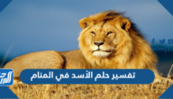 تفسير حلم الأسد في المنام للعزباء والمتزوجة والحامل