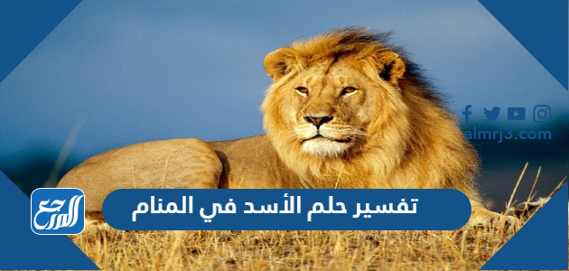 تفسير حلم الأسد في المنام