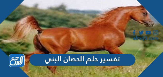 تفسير حلم الحصان البني