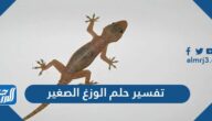 تفسير حلم الوزغ الصغير في المنام العزباء والمتزوجة والحامل