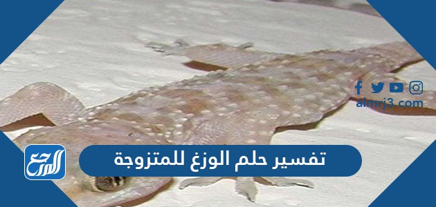  تفسير حلم الوزغ للمتزوجه في المنام