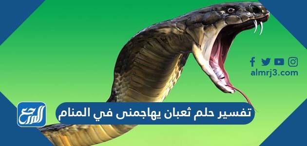 تفسير حلم ثعبان يهاجمنى في المنام