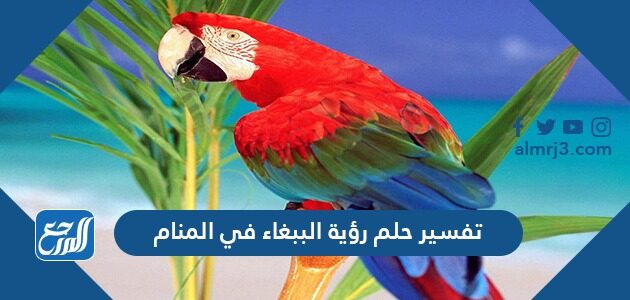 تفسير حلم رؤية الببغاء في المنام