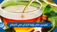 تفسير حلم رؤية الشاى في المنام لابن سيرين والنابسي