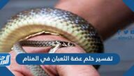 تفسير حلم عضة الثعبان في المنام للعزباء والمتزوجة والحامل