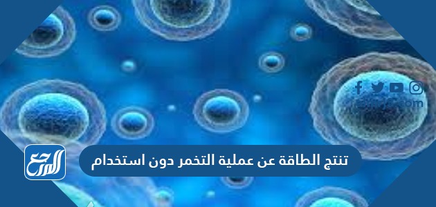 تنتج الطاقة عن عملية التخمر دون استخدام