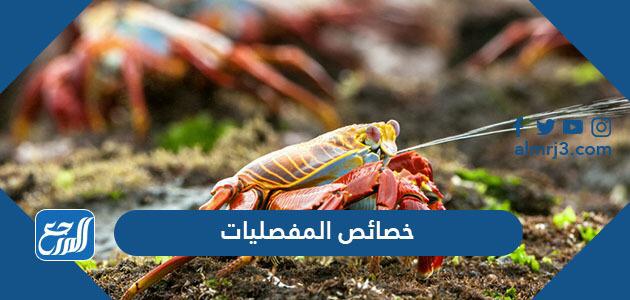 خصائص المفصليات