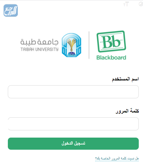 جامعة طيبة بلاك بورد