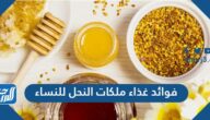 فوائد غذاء ملكات النحل للنساء