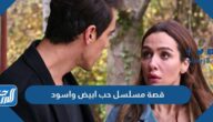 قصة مسلسل حب ابيض واسود كاملة