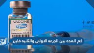 كم المده بين الجرعه الاولى والثانيه فايزر وما اثاره الجانبية وطريقة عمله