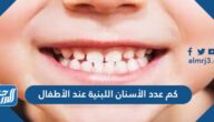 كم عدد الأسنان اللبنية عند الأطفال