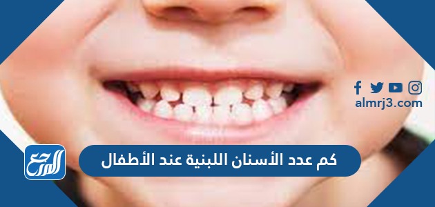 كم عدد الأسنان اللبنية عند الأطفال