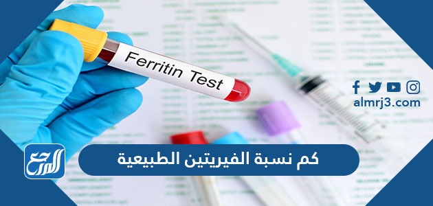 كم نسبة الفيريتين الطبيعية