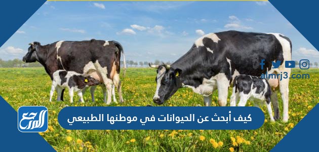 كيف أبحث عن الحيوانات في موطنها الطبيعي