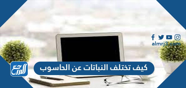 كيف تختلف النباتات عن الحاسوب