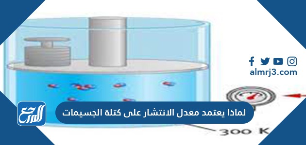 لماذا يعتمد معدل الانتشار على كتلة الجسيمات