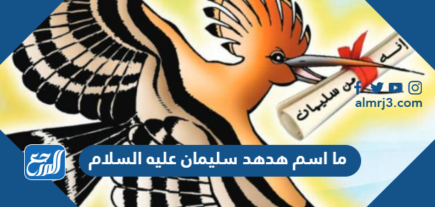 ما اسم هدهد سليمان عليه السلام