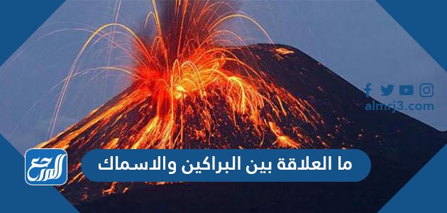 ما العلاقة بين البراكين والاسماك