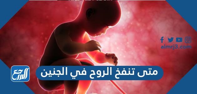 متى تنفخ الروح في الجنين