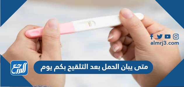 متى يبان الحمل بعد التلقيح بكم يوم