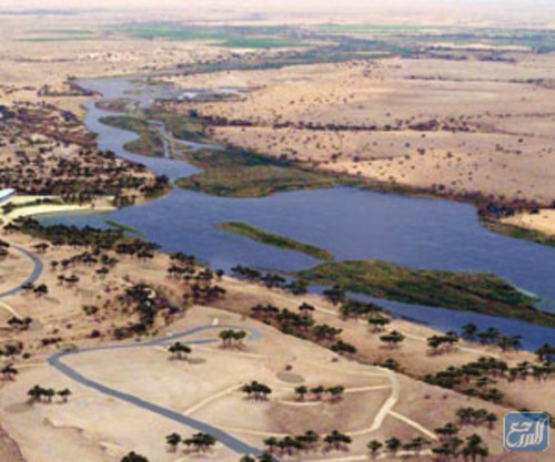 محمية الحائر للأراضي الرطبة