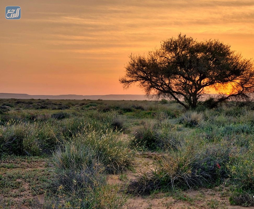 محمية الملك خالد الملكية