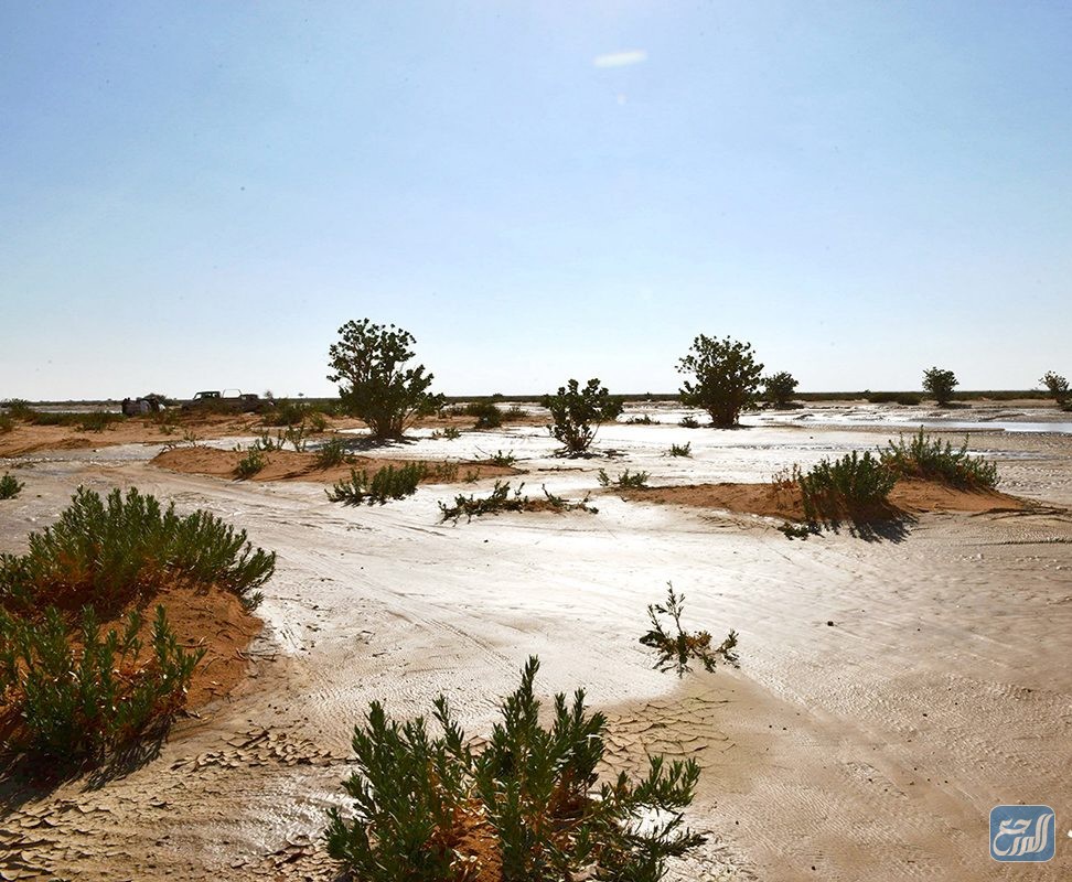 محمية الملك عبد العزيز الملكية