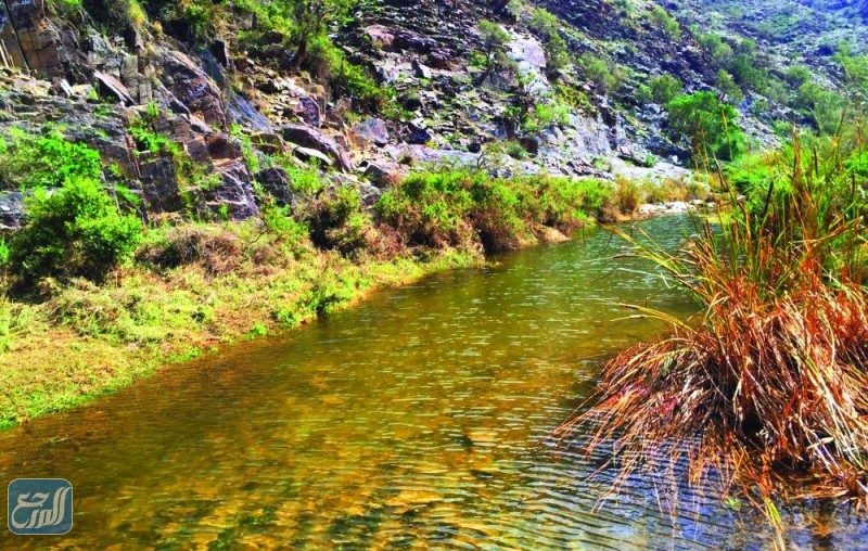 أشهر المحميات الطبيعية في السعودية