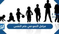 مراحل النمو في علم النفس