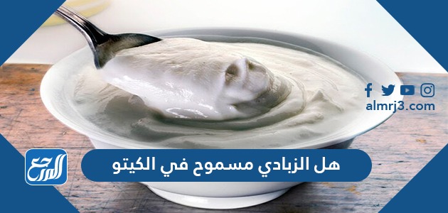 هل الزبادي مسموح في الكيتو