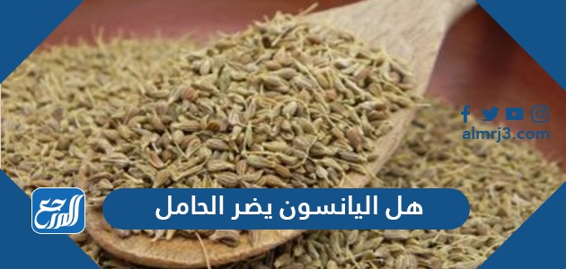 هل اليانسون يضر الحامل 