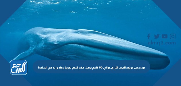 يزداد وزن مولود الحوت الأزرق حوالي ٩٠ كلجم يوميا، فكم كلجم تقريبا يزداد وزنه في الساعة؟ ٣ كلجم ٤ كلجم ٥ كلجم ٦ كلجم