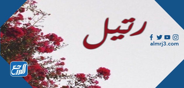 معنى اسم رتيل Ratel وصفات حاملة الاسم وحكم تسميته في الاسلام موقع المرجع