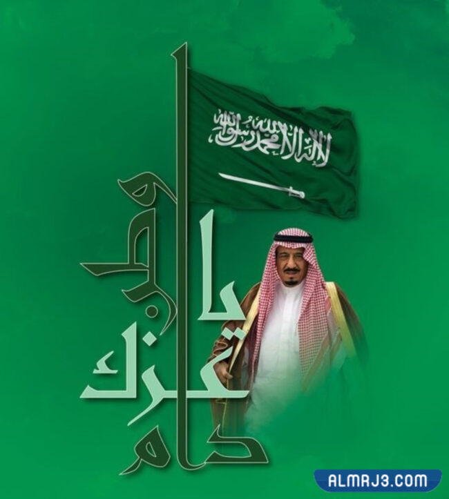 صور تصميمات مبتكرة لخادم الحرمين