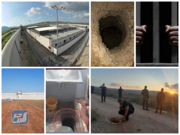 سجن جلبوع اين يقع