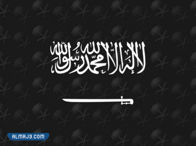 علم المملكة العربية السعودية أبيض واسود