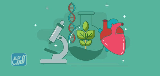 اكتب قائمة تبين فيها فوائد دراسة علم الاحياء