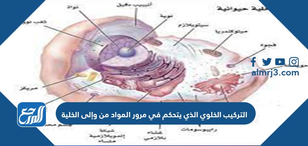 التركيب الخلوي الذي يتحكم في مرور المواد من وإلى الخلية
