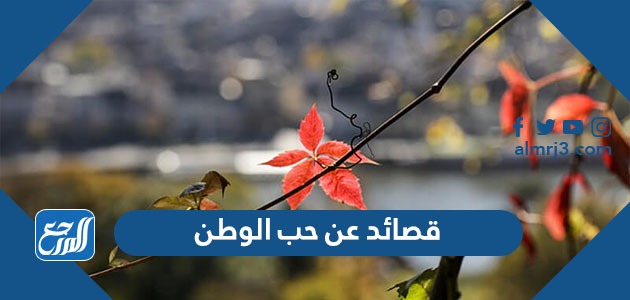 أجمل 10 قصائد عن حب الوطن