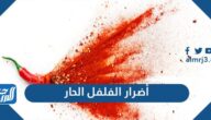 ما هي أضرار الفلفل الحار على الجسم وآثاره الجانبية وفوائده ما هي أضرار الفلفل الحار على الجسم وآثاره الجانبية وفوائده