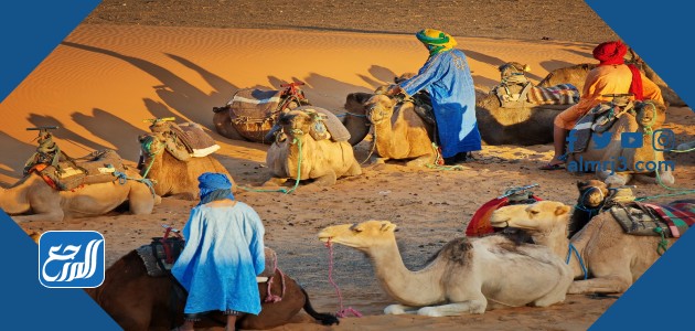 أكبر قبيلة في العالم العربي