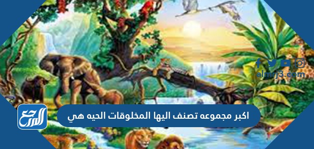 أكبر مجموعة تصنف إليها المخلوقات الحية هي