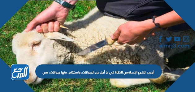 أوجب الشرع الإسلامي الذكاة في ما أحل من الحيوانات، واستثنى منها حيوانات، هي