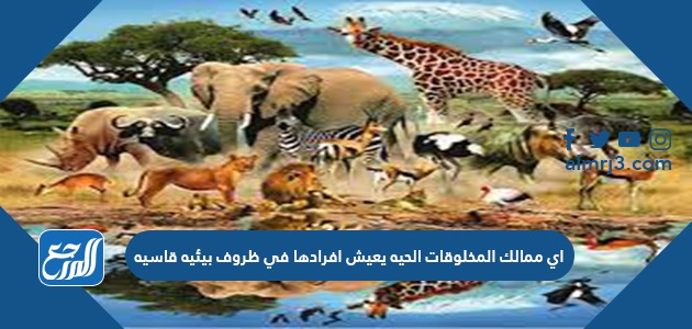 أي ممالك المخلوقات الحية يعيش أفرادها في ظروف بيئية قاسية