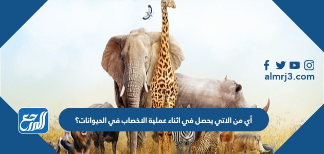 أي من الاتي يحصل في اثناء عملية الاخصاب في الحيوانات؟